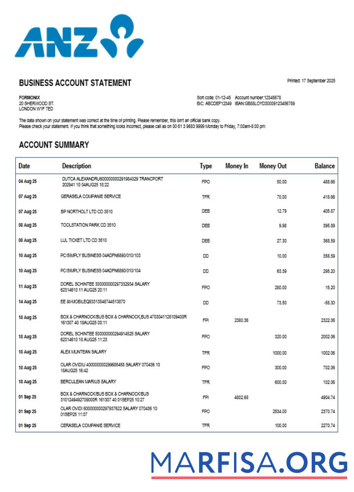 Downloadable Sydney ANZ business firm statement Word and PDF format example